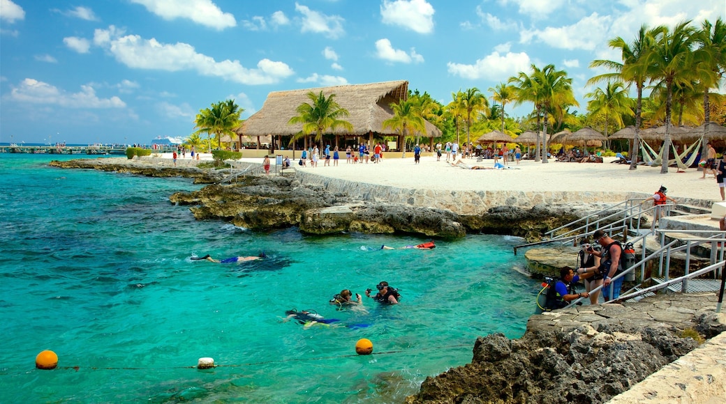 Cozumel which includes tropical scenes, a sandy beach and general coastal views