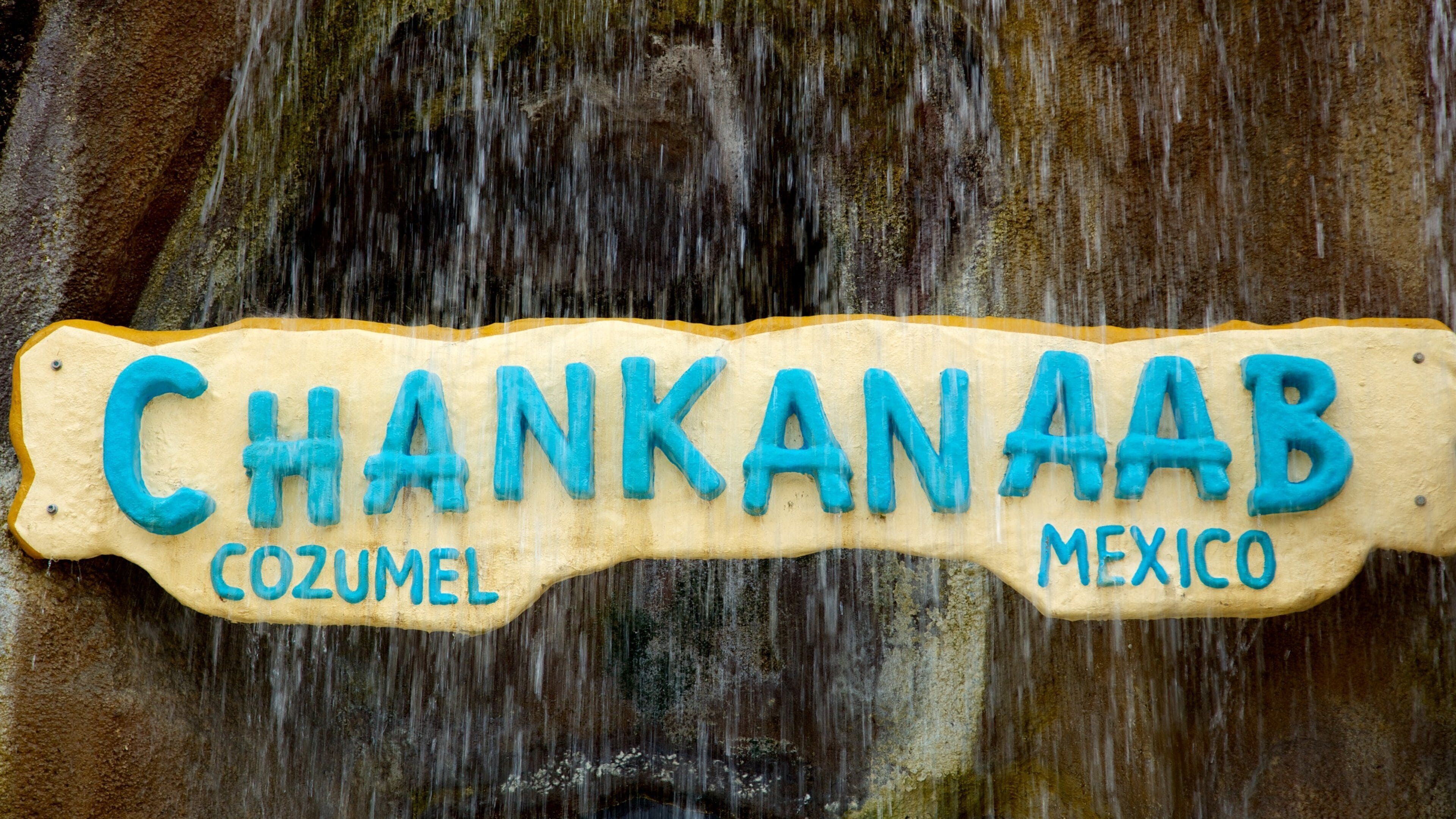 Une pancarte sur laquelle on peut lire « CHANKANAAB COZUMEL MEXICO », avec de l’eau qui en coule.