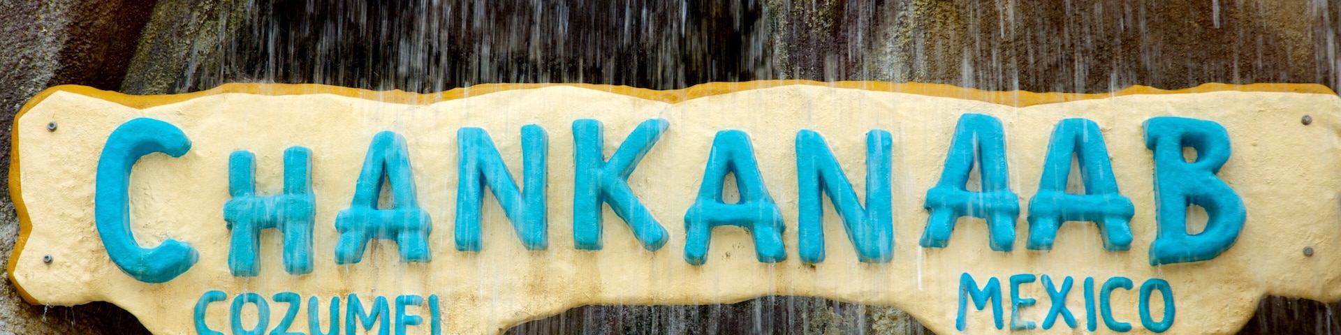 Une pancarte sur laquelle on peut lire « CHANKANAAB COZUMEL MEXICO », avec de l’eau qui en coule.