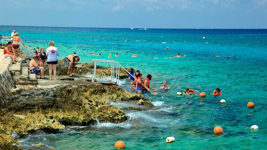 Cozumel showing swimming, rocky coastline and general coastal views