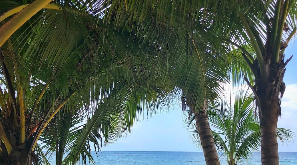 Yup, I’d do this again in a heartbeat. One of the most relaxing beautiful trips I’ve ever taken.