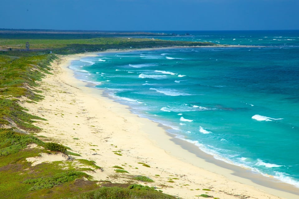 A coastal landscape with a sandy beach, turquoise ocean waves, and green vegetation.
