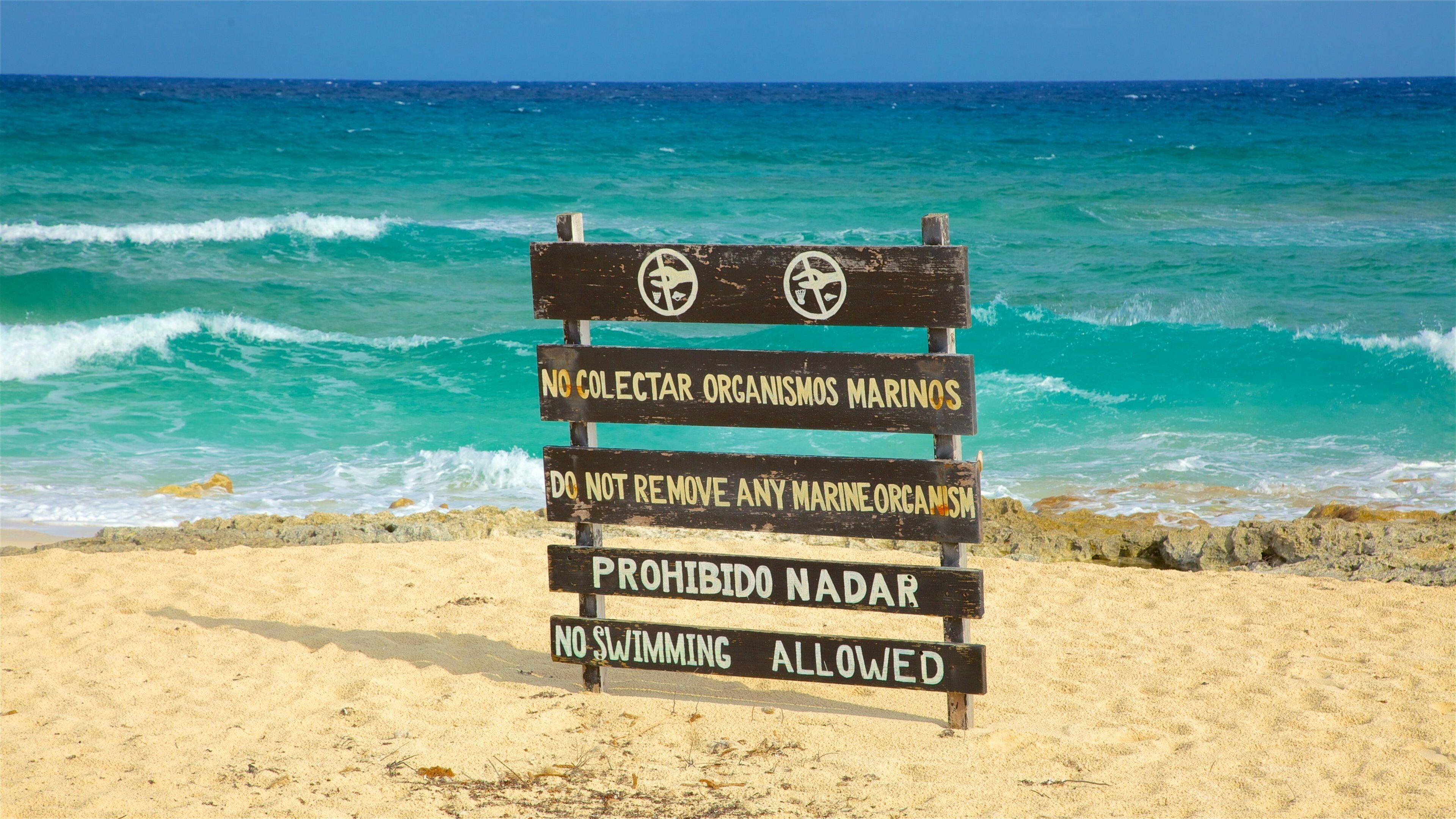 Punta Celerain Lighthouse showing waves, a sandy beach and signage