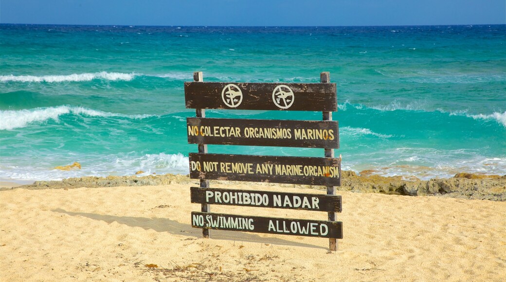 Punta Celerain Lighthouse showing waves, a sandy beach and signage