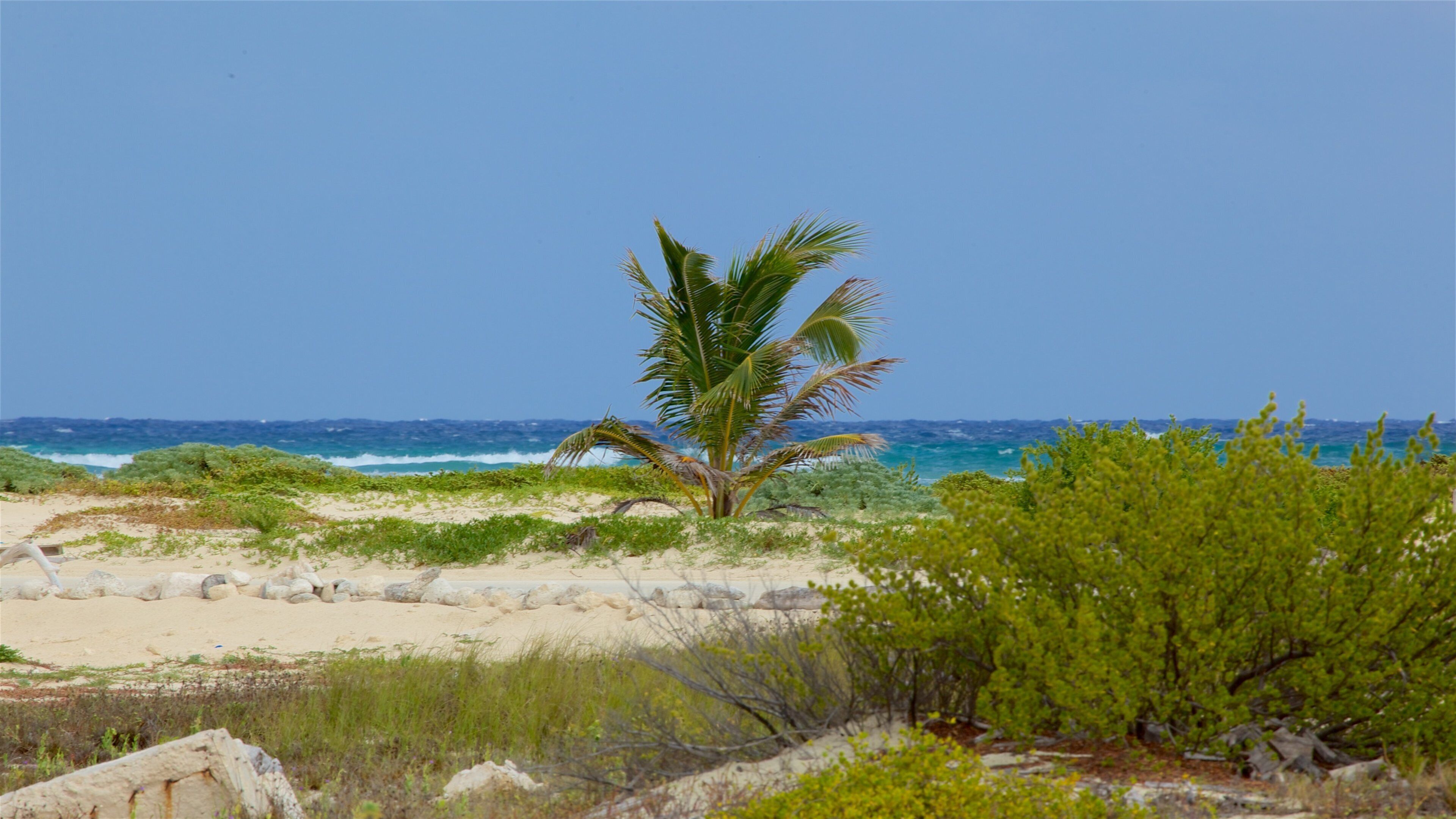 Punta Celerain Lighthouse featuring a beach and general coastal views