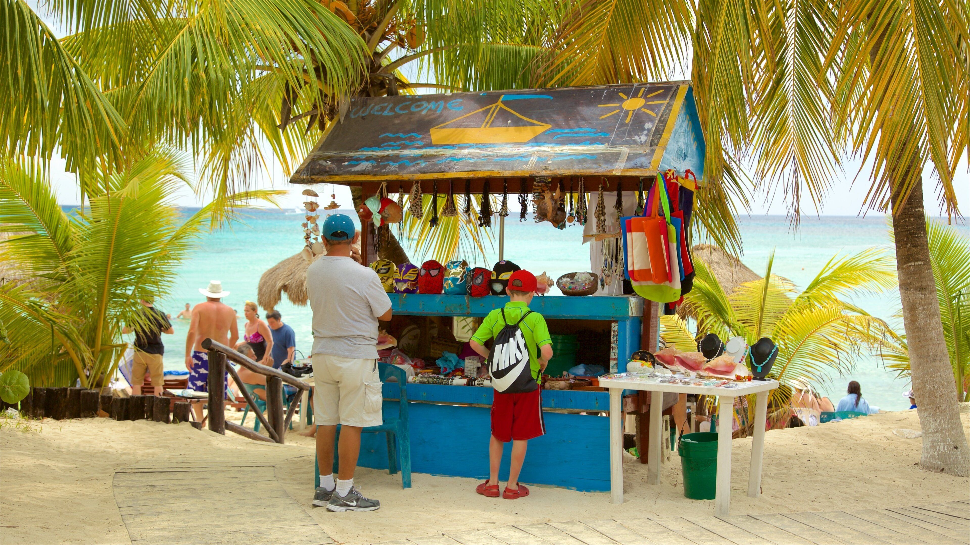 パランカル ビーチ フィーチャー 砂浜, 海岸線の眺め と 常夏の風景