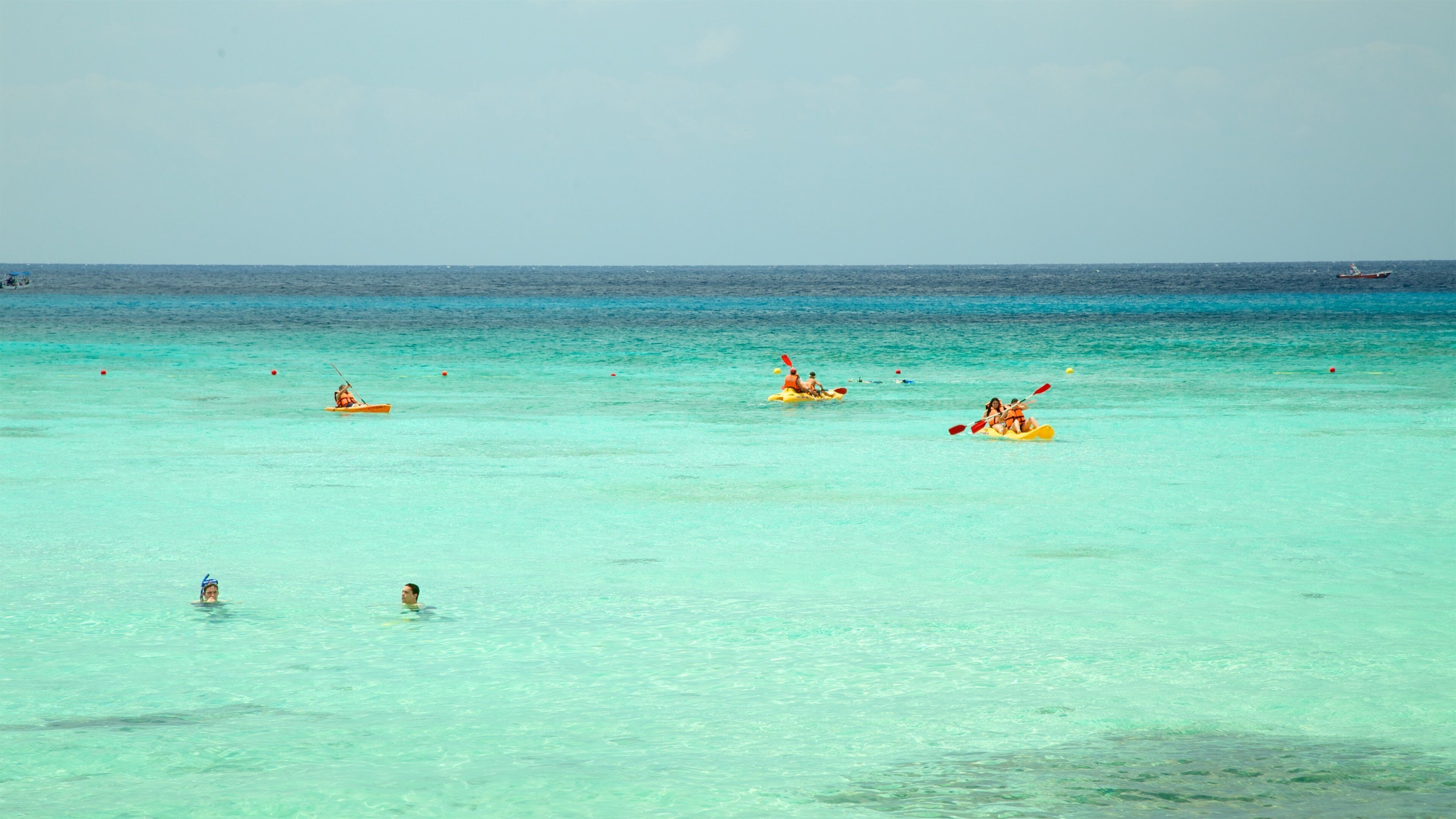Palancar Beach featuring landscape views, tropical scenes and kayaking or canoeing