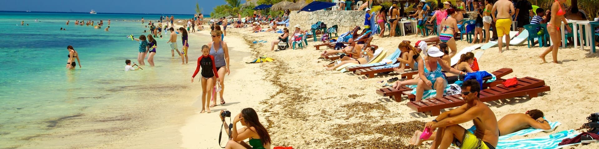 Cozumel showing swimming, tropical scenes and a sandy beach