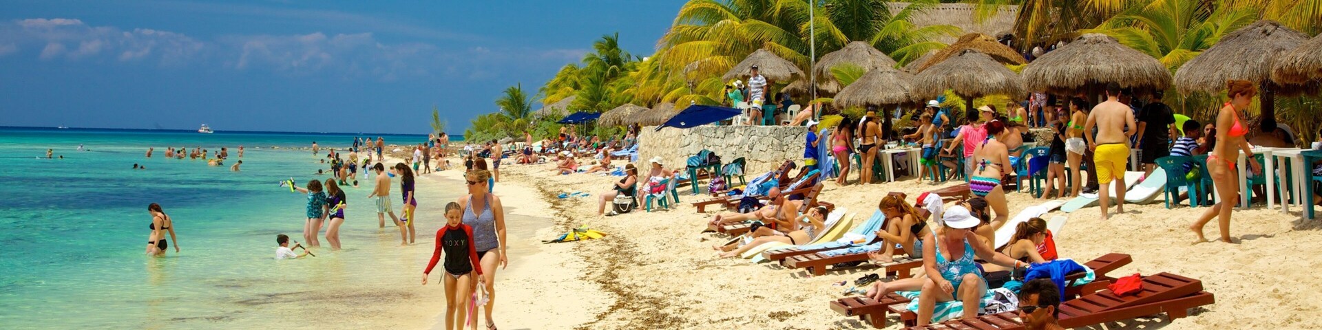 科茲美島 呈现出 海灘, 游泳 和 熱帶風景