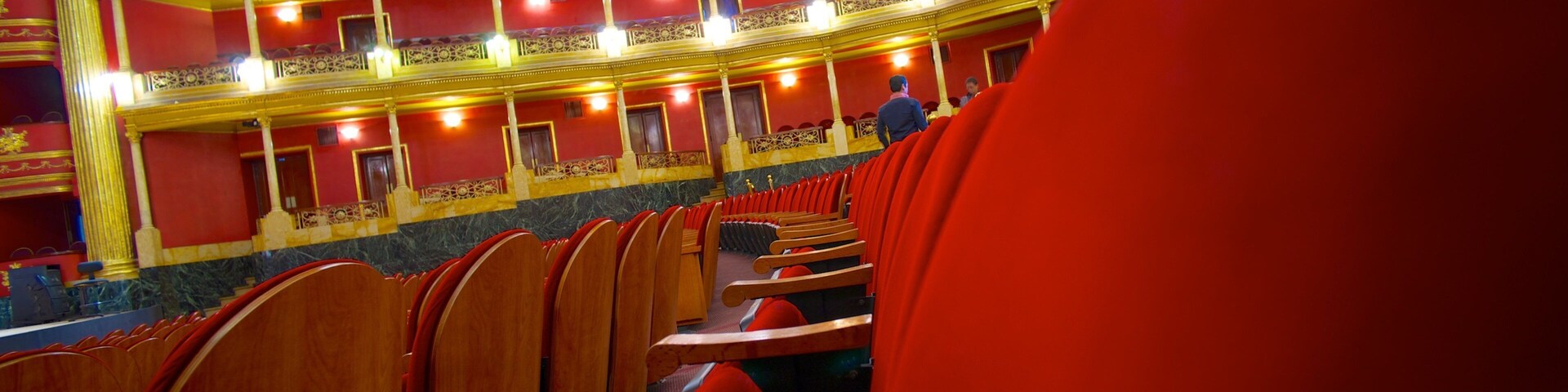 Degollado Theater which includes interior views and theater scenes