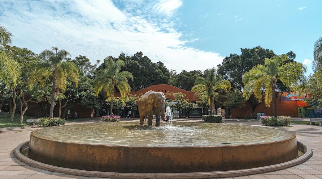 Zoologico Guadalajara