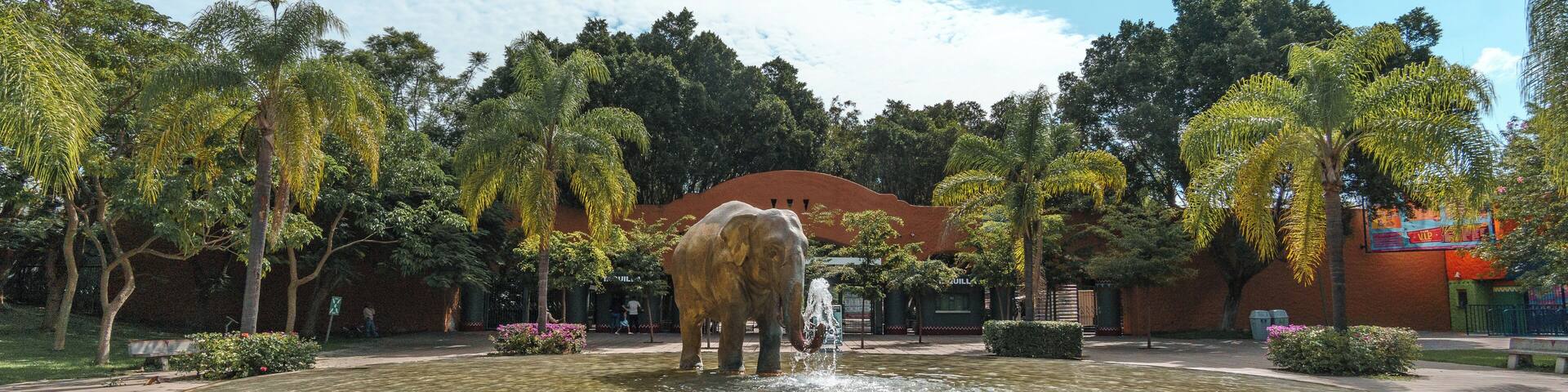 Guadalajara_ZoologicoGuadalajara_6075688_3