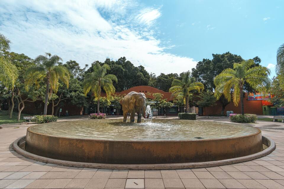 A fountain with a statue of an elephant in the center, surrounded by trees and a building in the background.