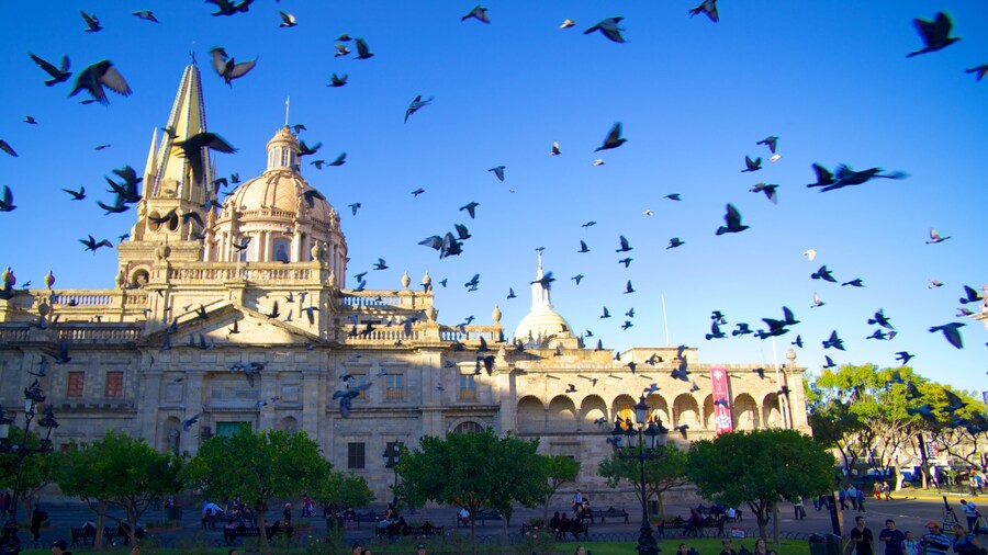 Catedral metropolitana ofreciendo una iglesia o catedral, patrimonio de arquitectura y una ciudad
