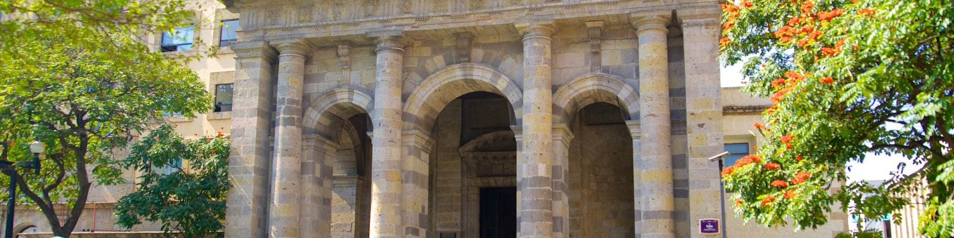 奥科达维·巴斯图书馆