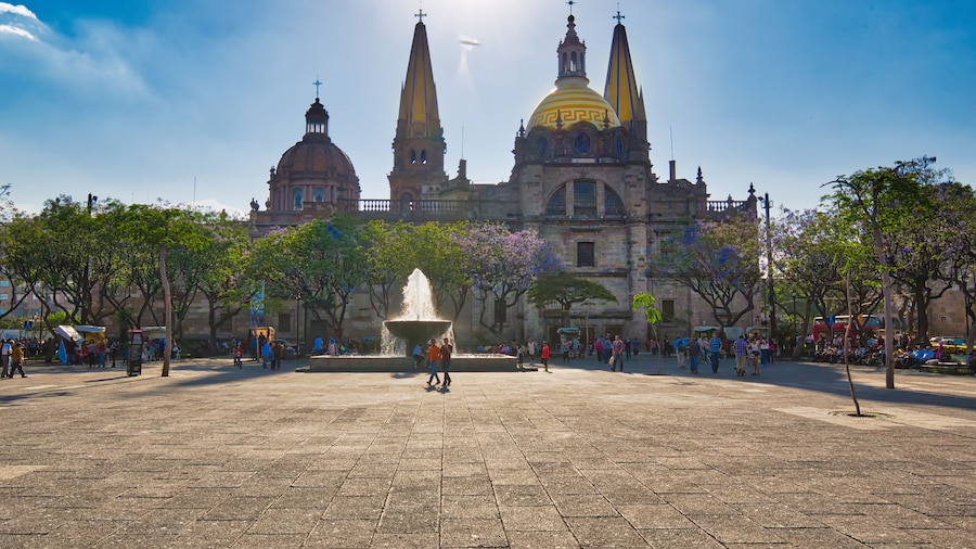 Plaza de la Liberacion (aukio)