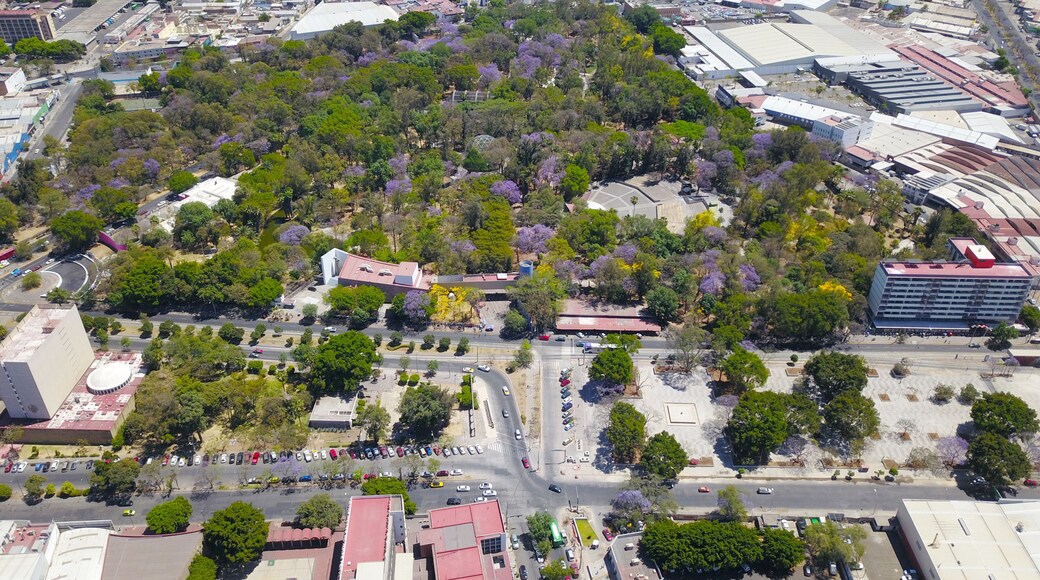 Parque Agua Azul