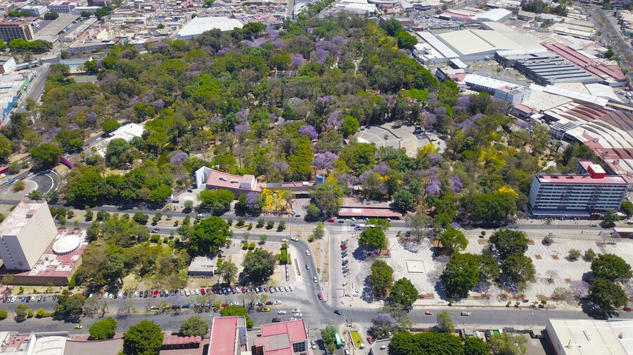 Parque Agua Azul