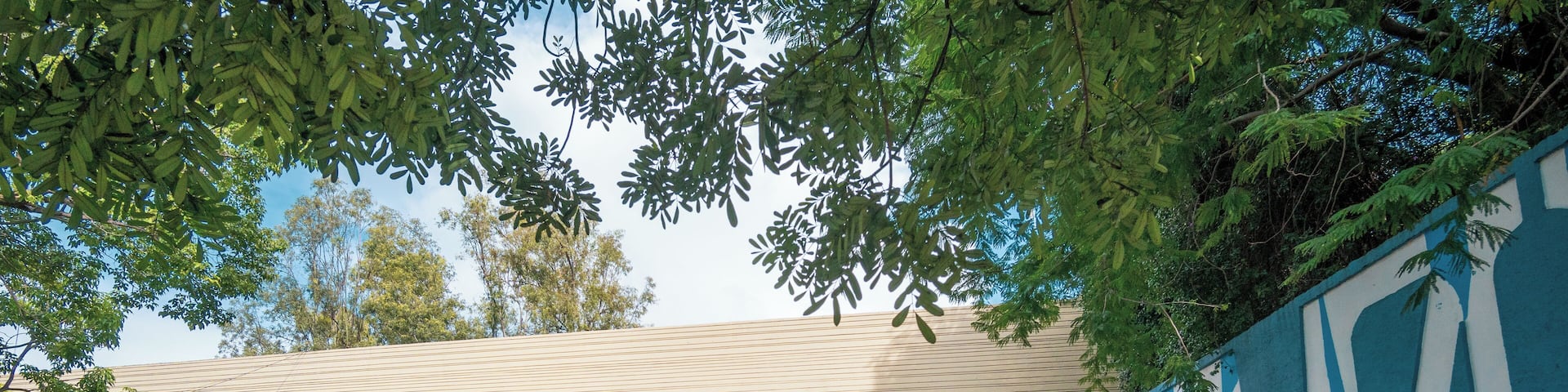 Guadalajara_ParqueAguaAzul_6075724_2