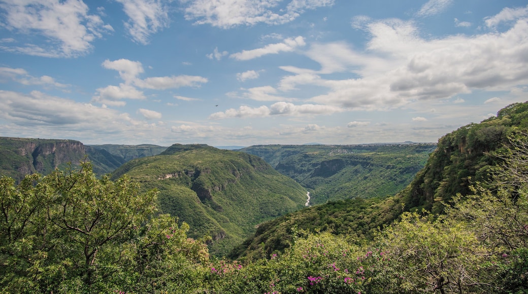 Barranca de Oblatos