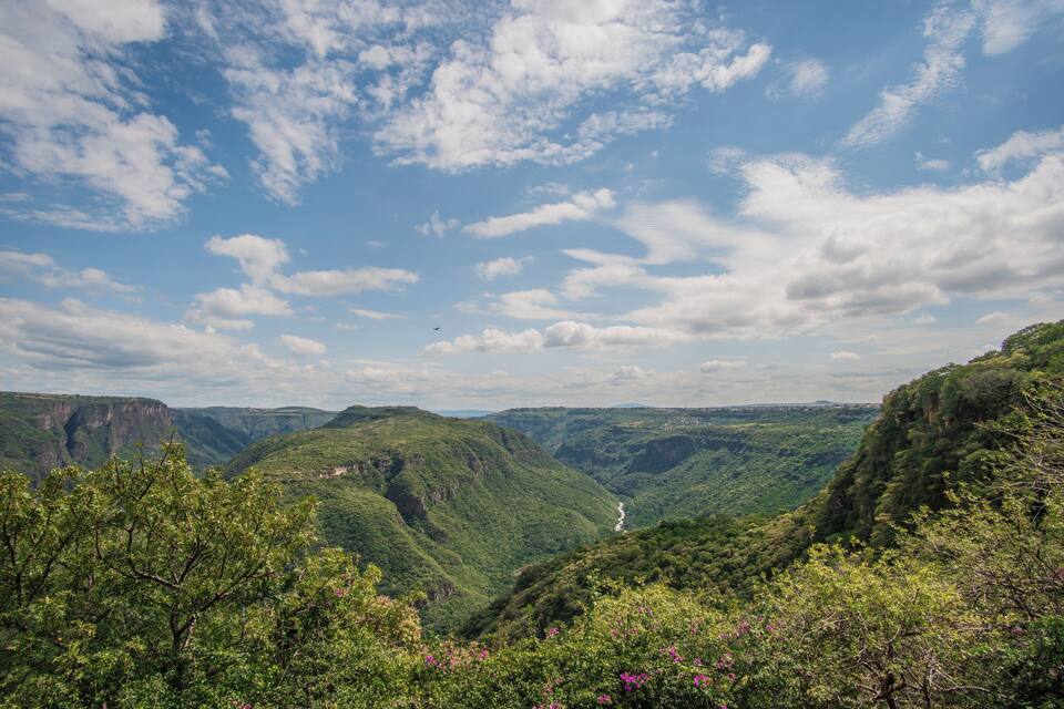 Un valle exuberante con río, colinas verdes y cielo despejado.