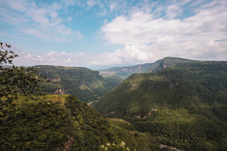 A lush valley with dense green vegetation and steep cliffs.