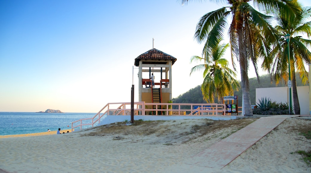 Chahue Beach featuring a beach and tropical scenes