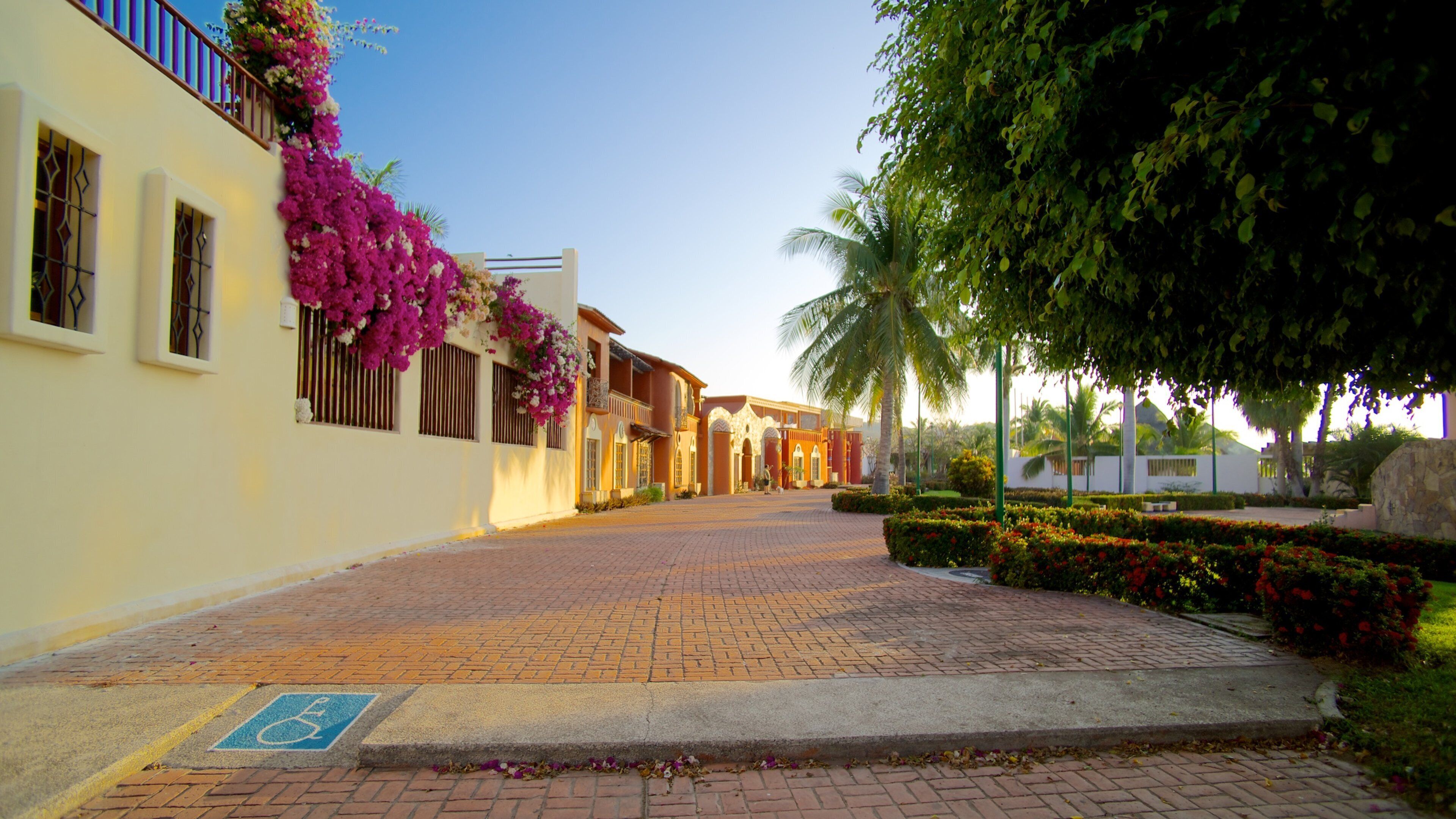 Chahue Beach featuring street scenes and flowers