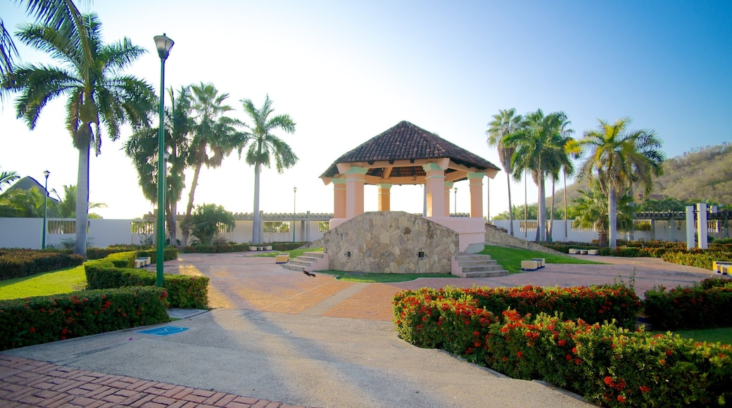 Chahue Beach showing a garden