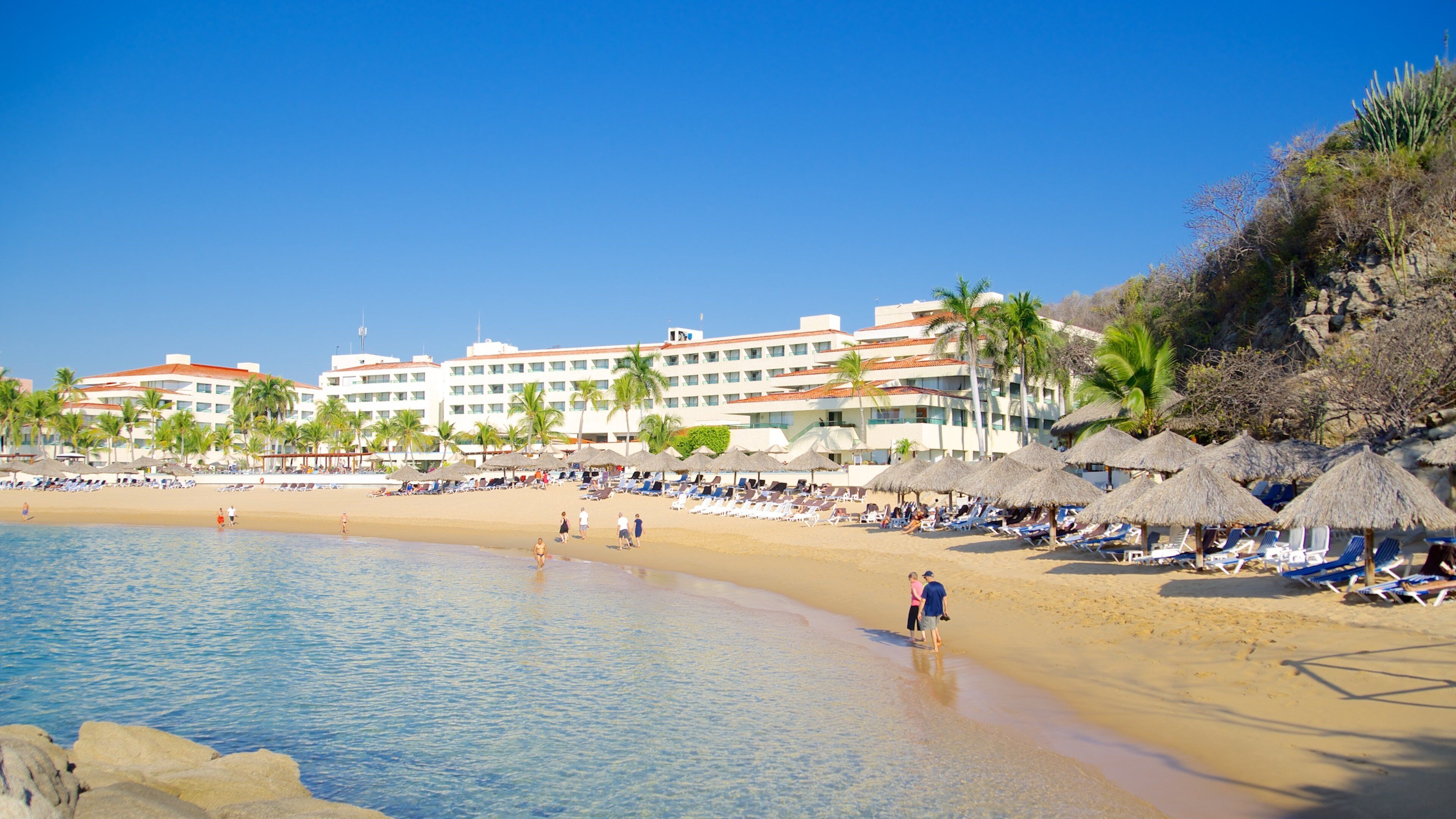 Zaachila Beach showing a beach, tropical scenes and general coastal views