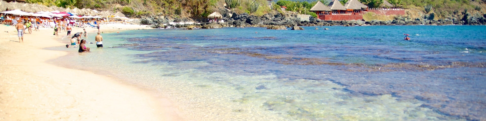 Ixtapa Island featuring a beach