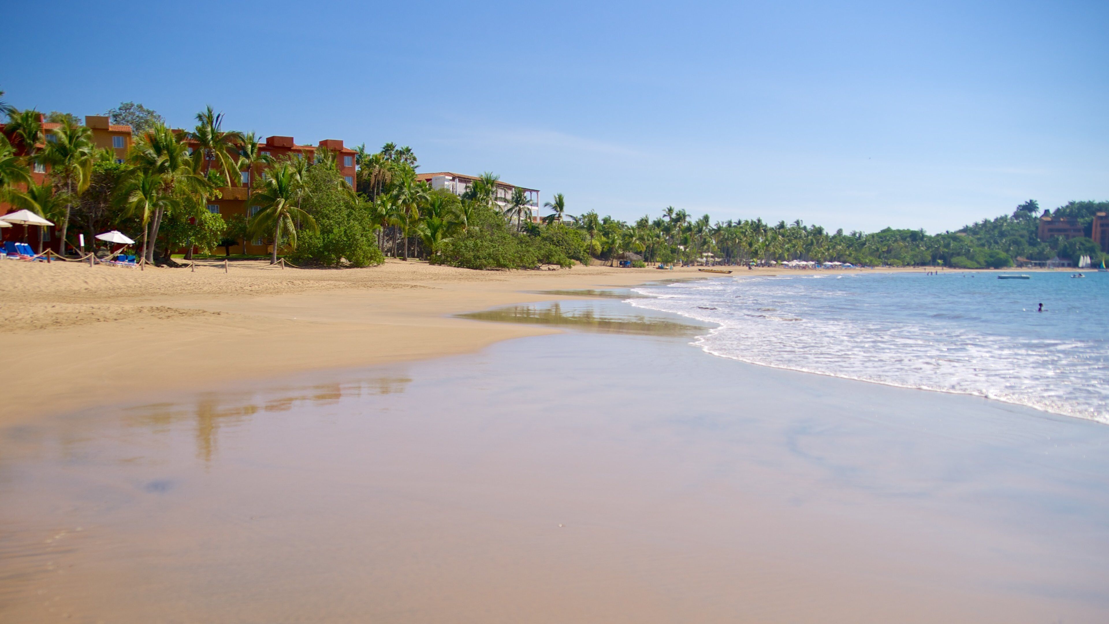 Quieta Beach which includes tropical scenes and a sandy beach