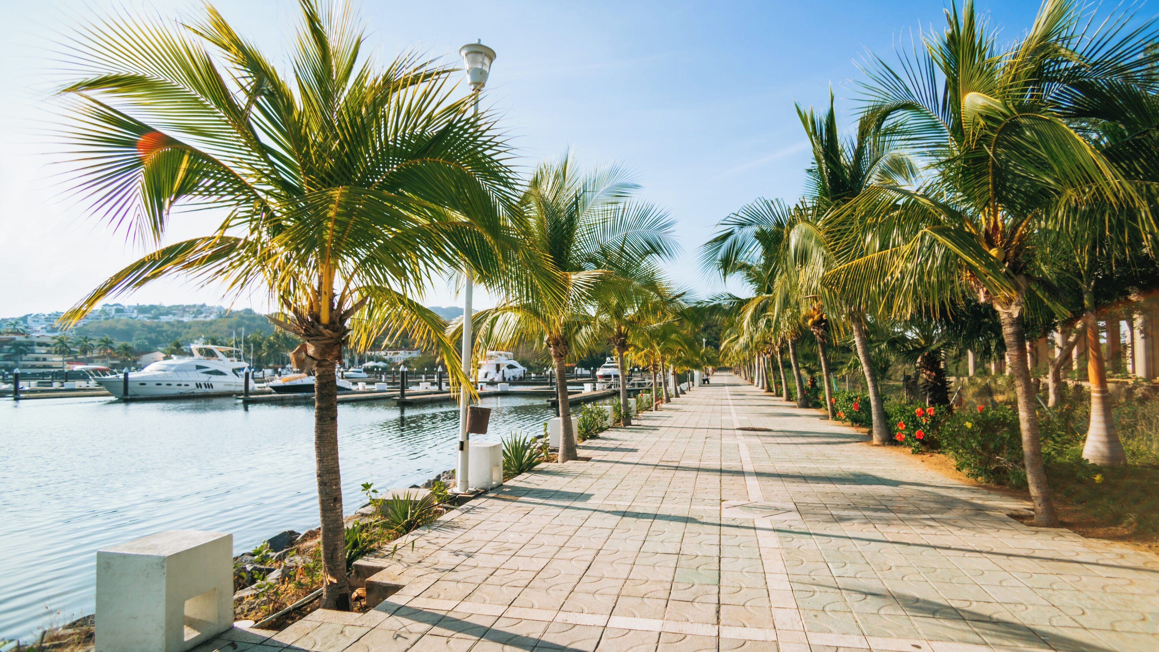Strolling along the beautiful waterfront promenade in Marina Ixtapa, Guerrero, Mexico with palm trees and yachts in view