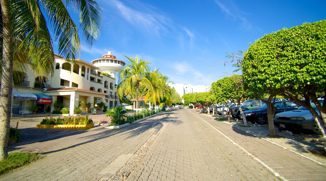 Marina Ixtapa showing street scenes