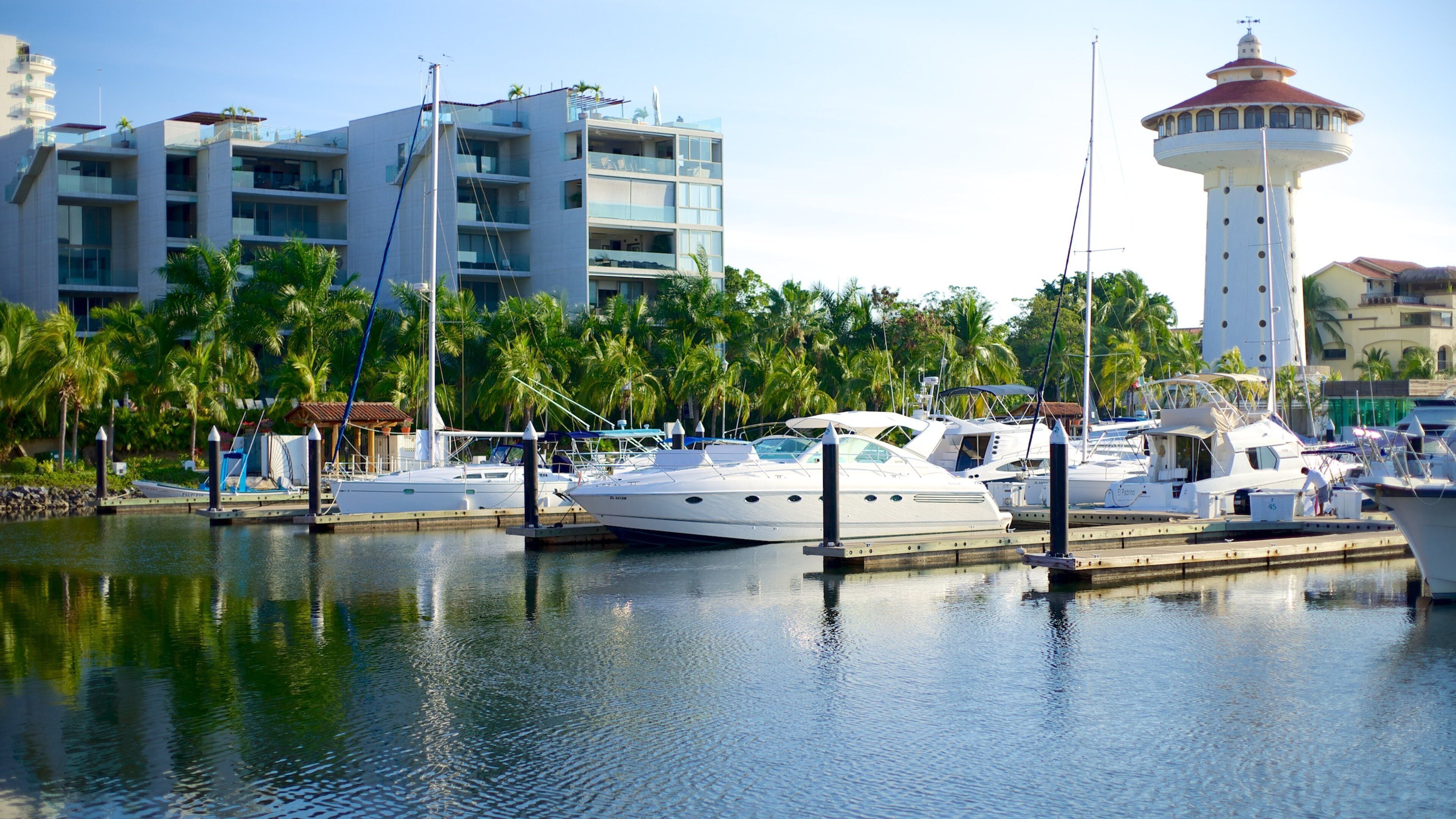 Marina Ixtapa showing tropical scenes and a bay or harbor