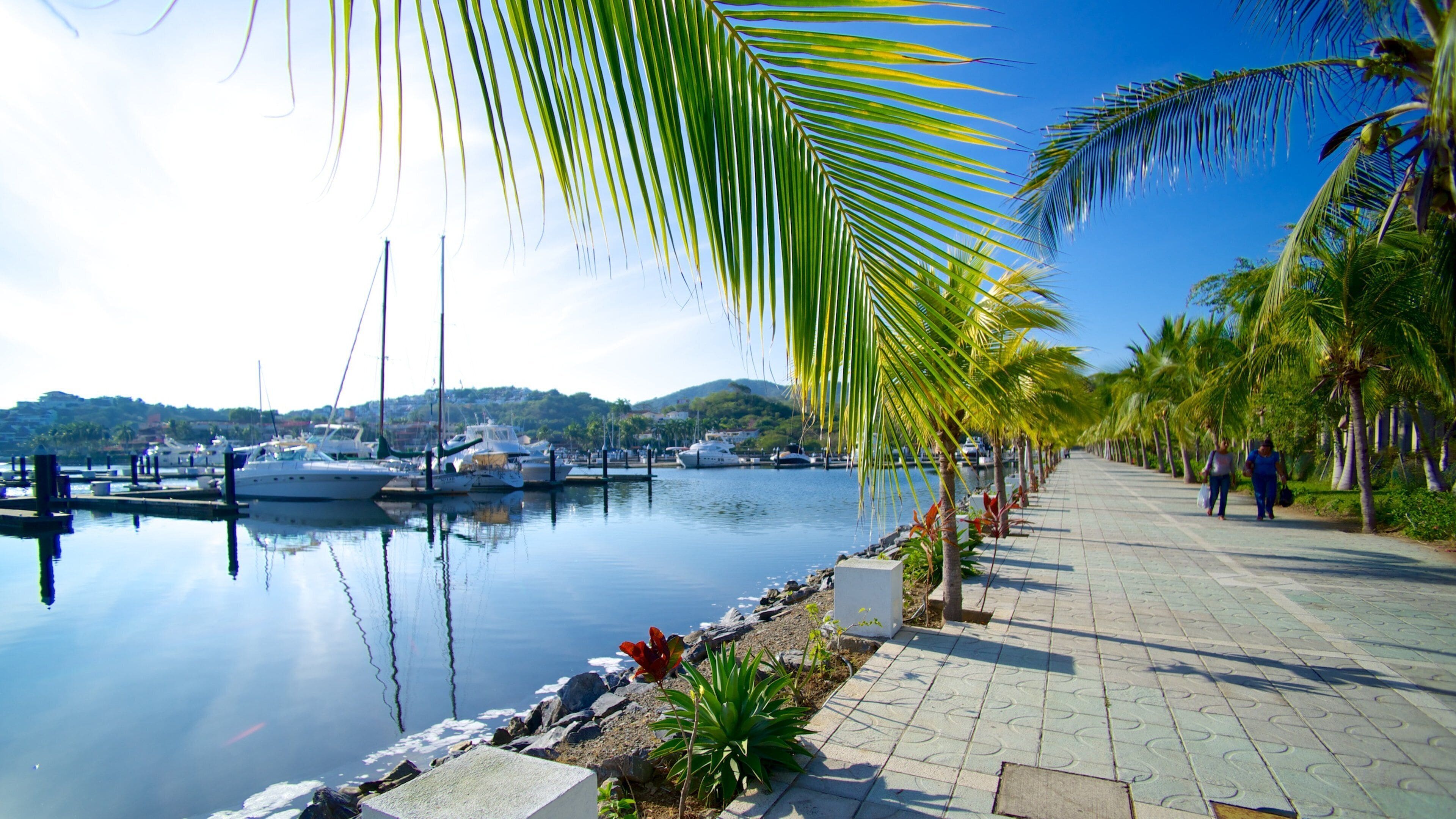 Marina Ixtapa som inkluderer gatescener og tropisk landskap