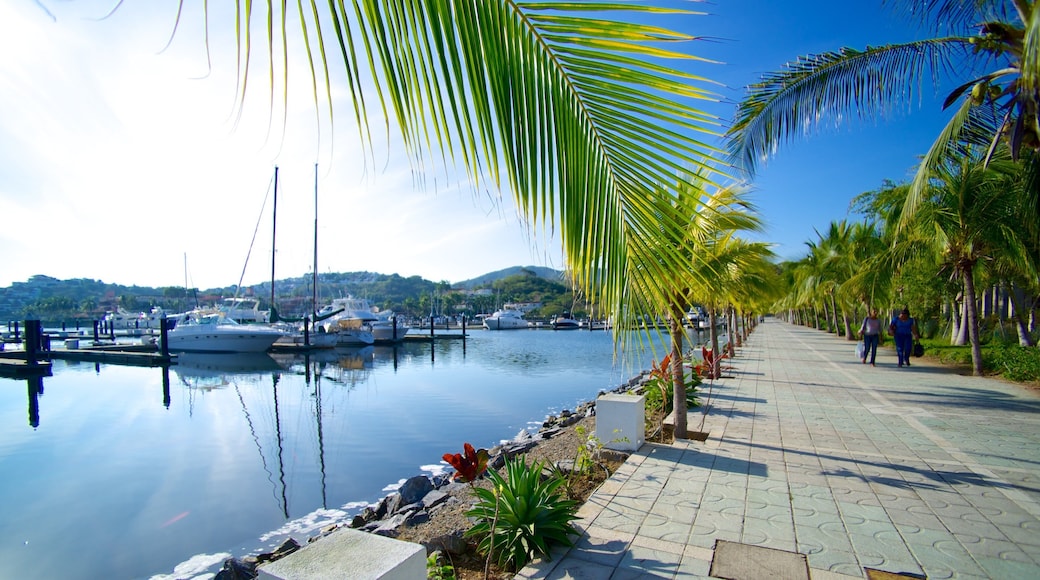 Marina Ixtapa showing tropical scenes and street scenes