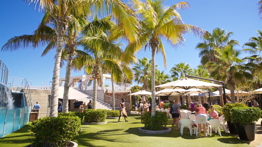 Cabo Dolphins featuring a park as well as a small group of people