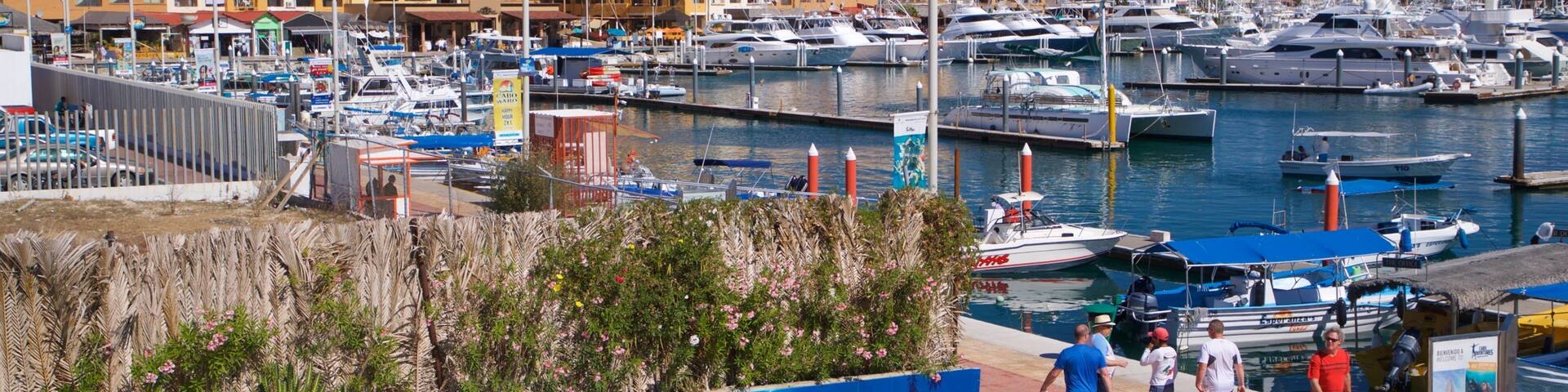 Cabo Dolphins featuring a bay or harbor