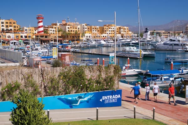 Cabo Dolphins featuring a bay or harbor