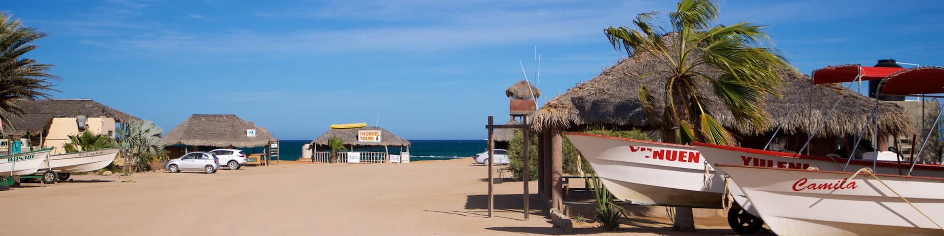Cabo Pulmo which includes general coastal views, tropical scenes and a sandy beach