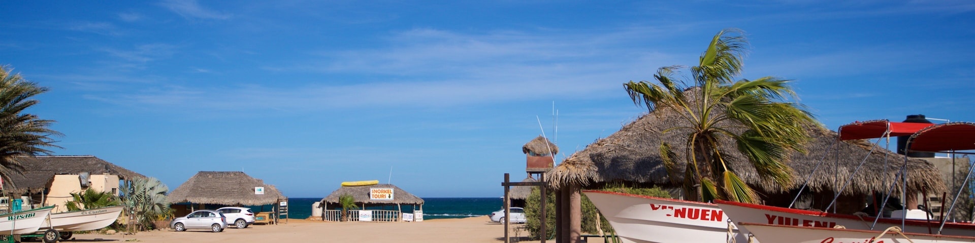 Cabo Pulmo which includes general coastal views, tropical scenes and a sandy beach