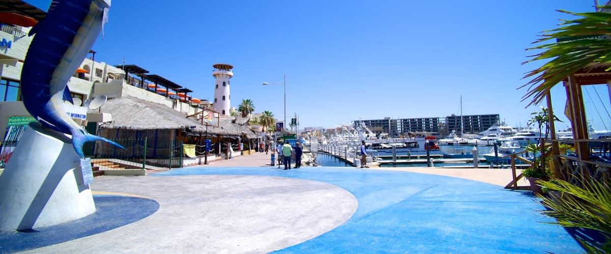 Marina Cabo San Lucas which includes outdoor art, a marina and a coastal town