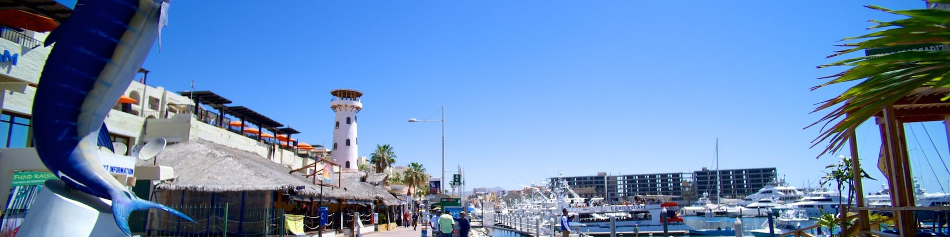 Marina Cabo San Lucas ofreciendo un club náutico, una ciudad costera y arte al aire libre