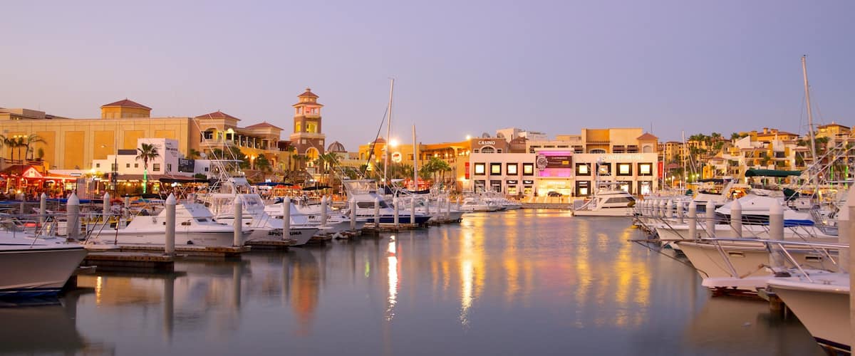 Marina Cabo San Lucas montrant marina et ville côtière