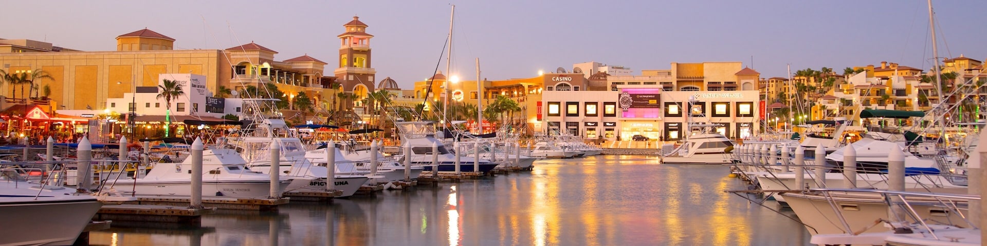 Marina Cabo San Lucas featuring a coastal town and a marina