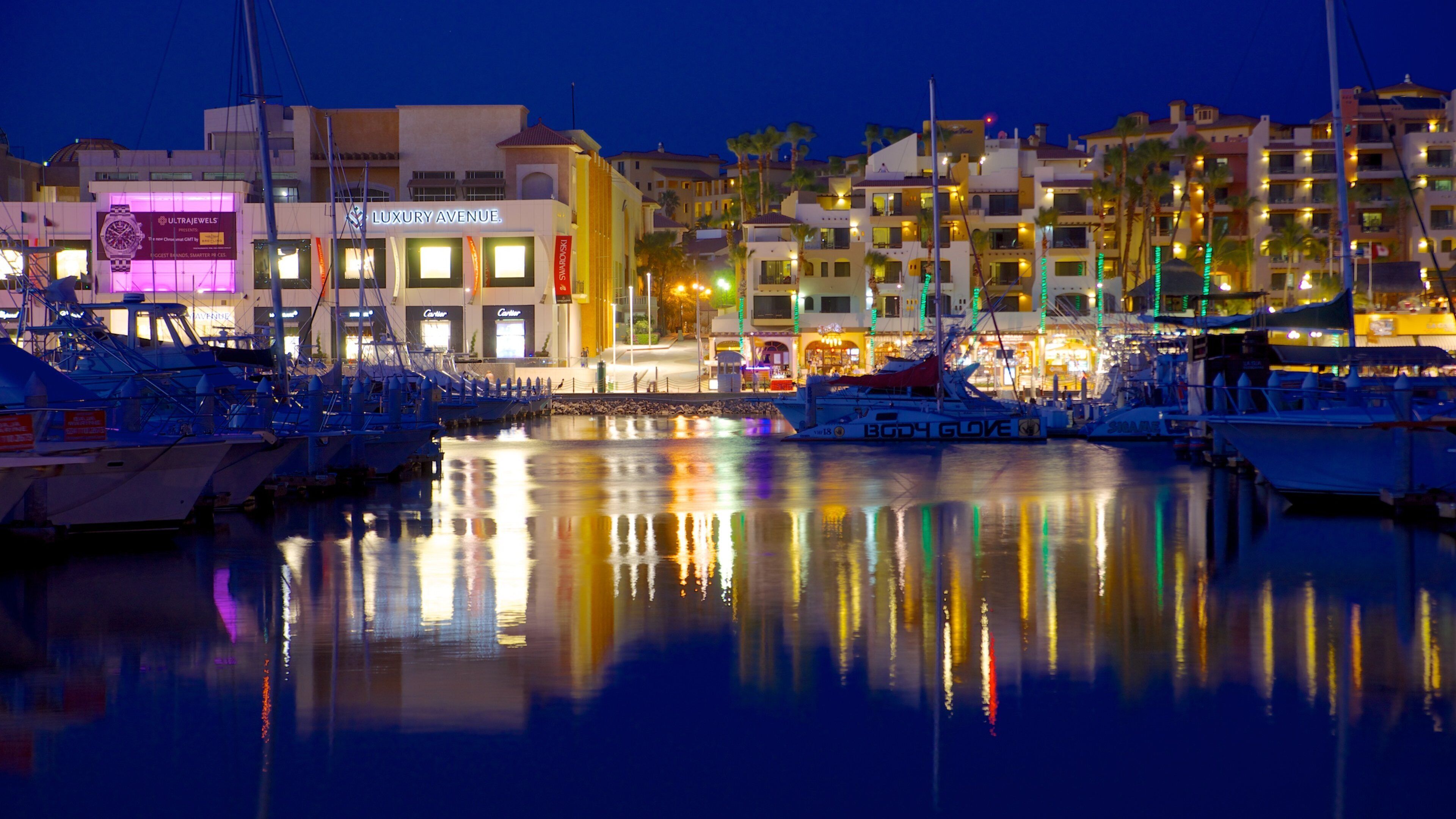 Marina Cabo San Lucas featuring a marina, night scenes and a coastal town