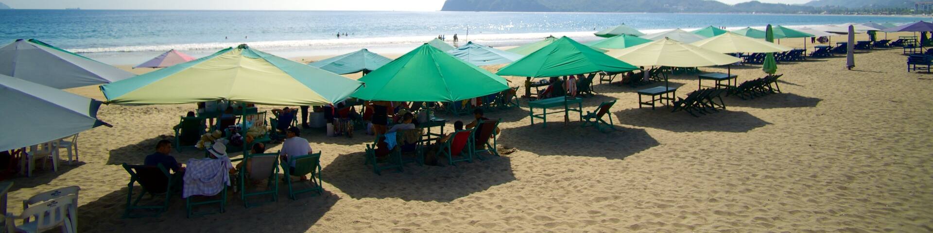 Une plage avec des parasols verts et des chaises de plage.