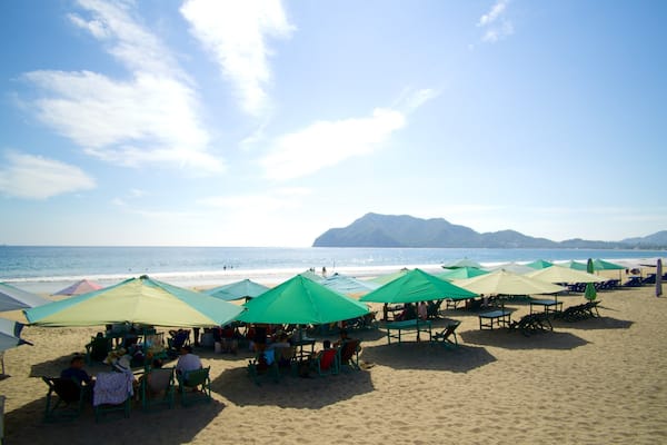 A beach with green umbrellas and beach chairs.