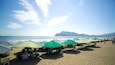A beach with green umbrellas and beach chairs.